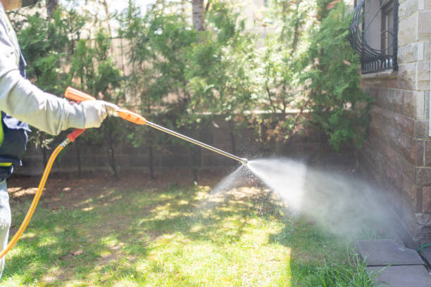 Best Pest Prevention Services  in Boston, MA